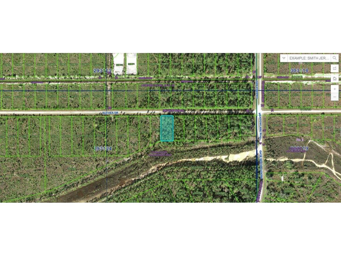 Althea Drive Indian Lake Estates FL 33855 O6272131 image1