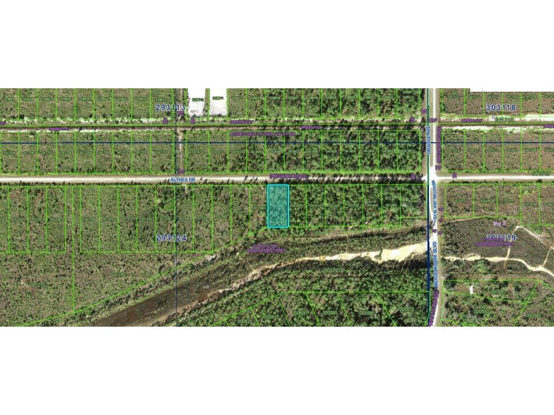 Althea Drive Indian Lake Estates FL 33855 O6272131 image3