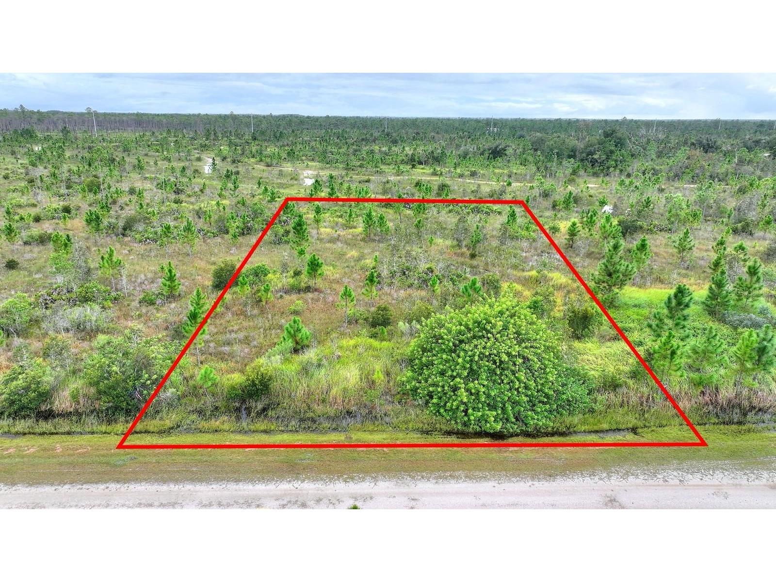 Althea Drive Indian Lake Estates FL 33855 - LAKE WALK IN WATER P4937578 image1