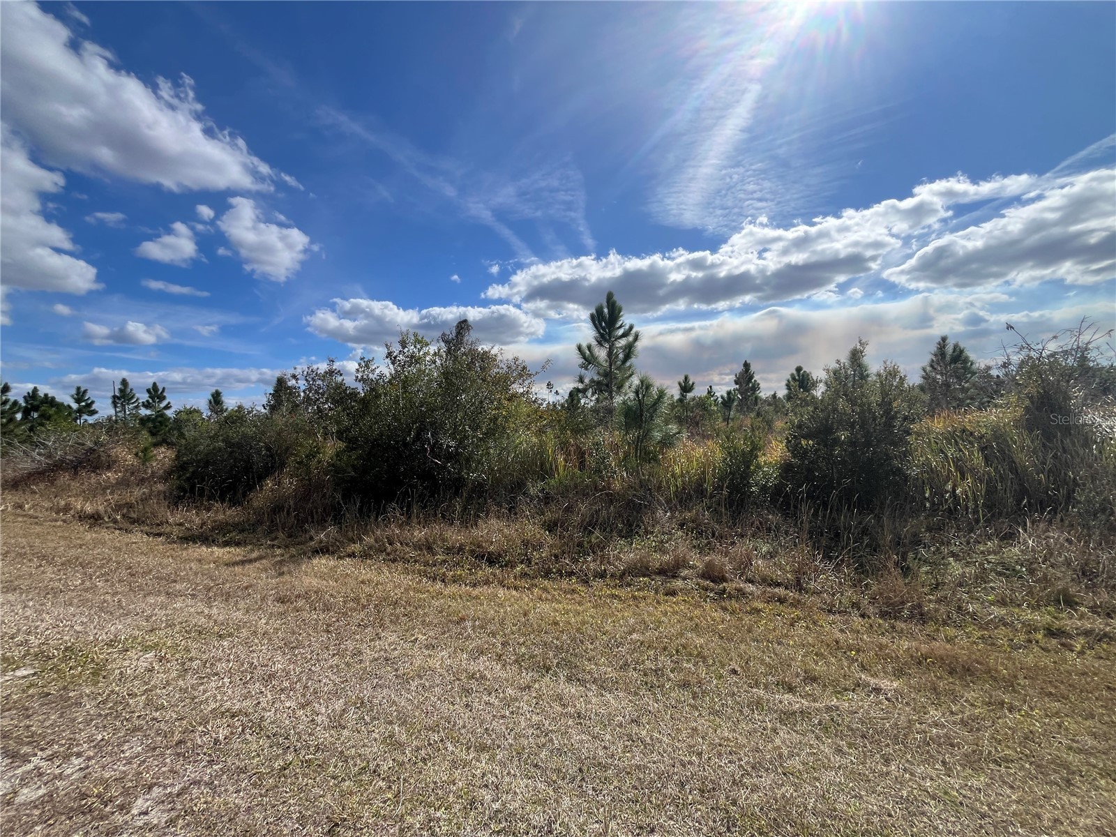 Althea Drive Indian Lake Estates FL 33855 - LAKE WALK IN WATER P4937578 image10