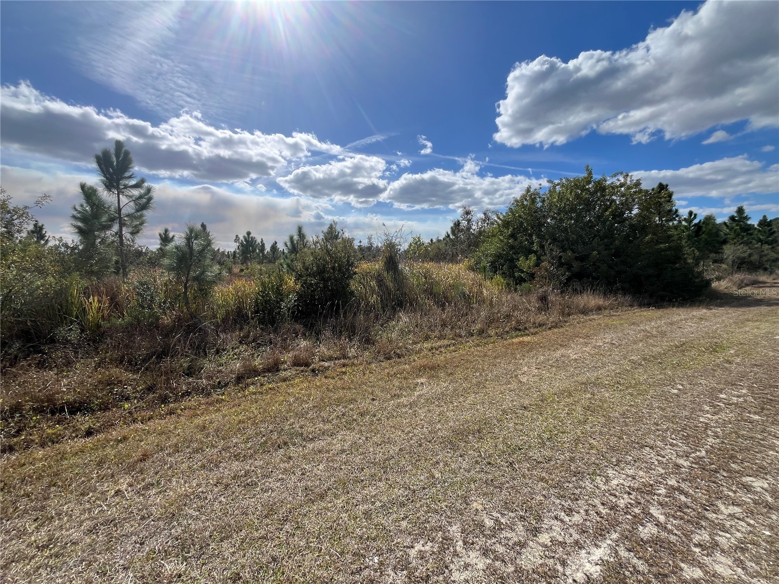 Althea Drive Indian Lake Estates FL 33855 - LAKE WALK IN WATER P4937578 image11