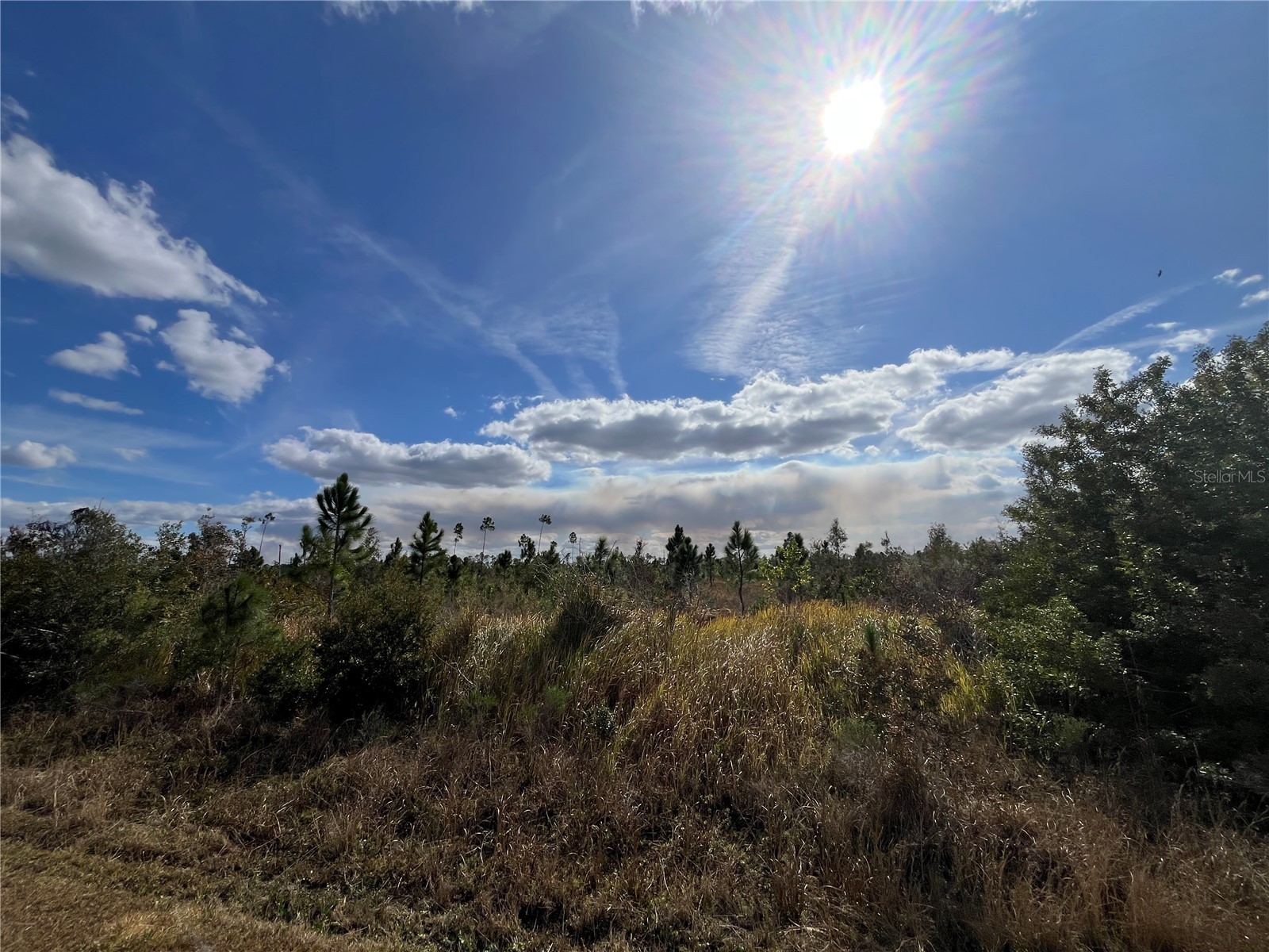 Althea Drive Indian Lake Estates FL 33855 - LAKE WALK IN WATER P4937578 image2