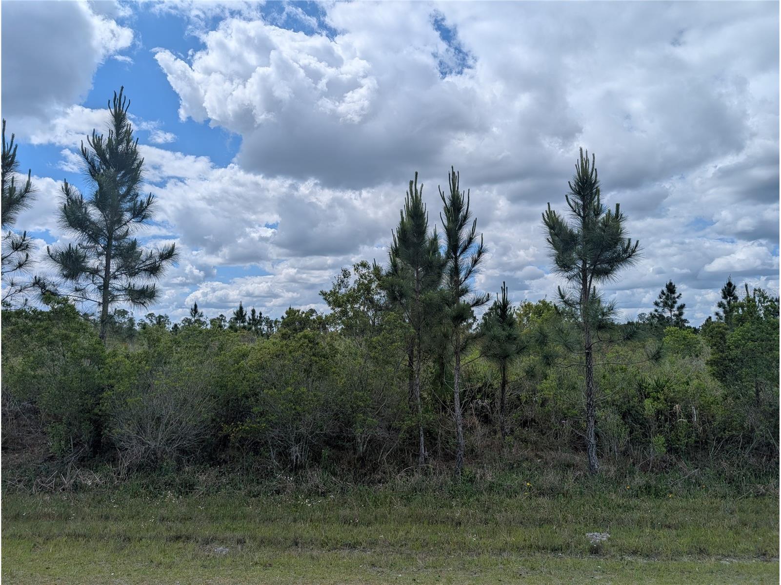 Althea Drive Indian Lake Estates FL 33855 - LAKE WALK-IN-WATER P4938538 image10