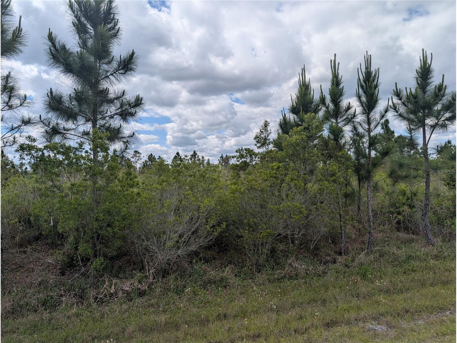 Althea Drive Indian Lake Estates FL 33855 - LAKE WALK-IN-WATER P4938538 image3