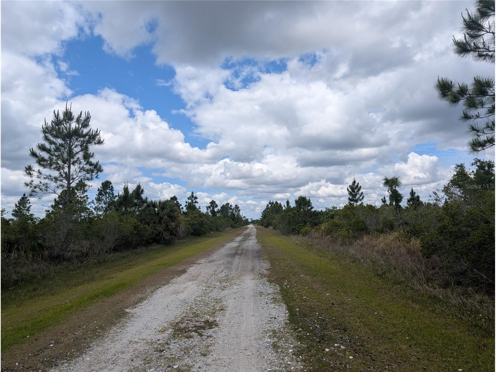 Althea Drive Indian Lake Estates FL 33855 - LAKE WALK-IN-WATER P4938538 image4