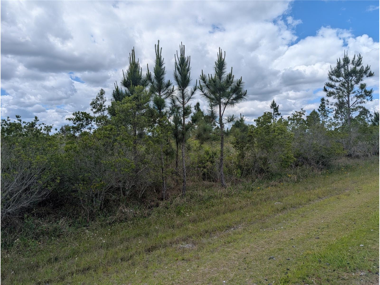 Althea Drive Indian Lake Estates FL 33855 - LAKE WALK-IN-WATER P4938538 image5