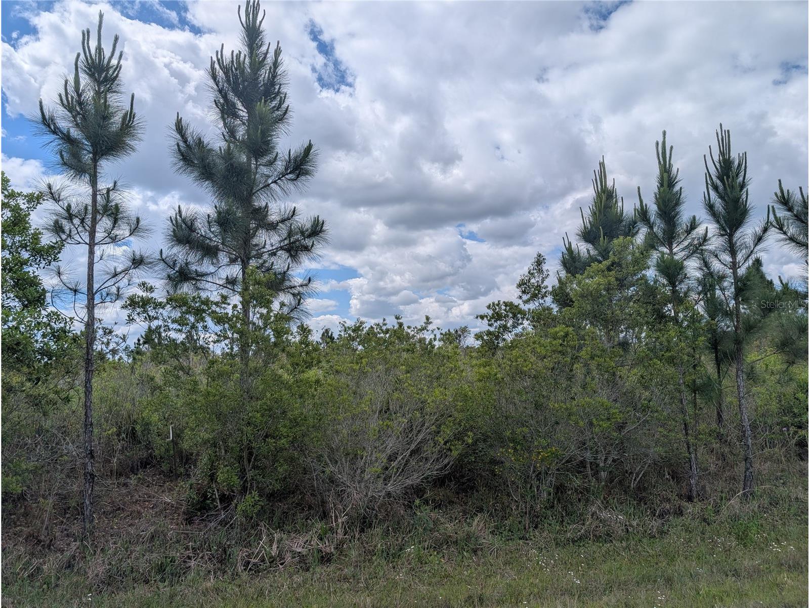 Althea Drive Indian Lake Estates FL 33855 - LAKE WALK-IN-WATER P4938538 image6