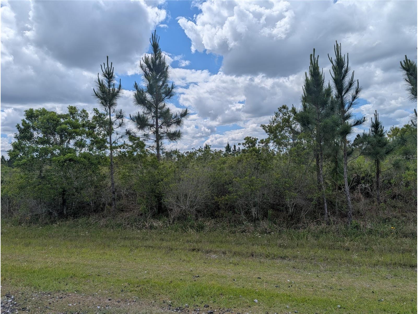 Althea Drive Indian Lake Estates FL 33855 - LAKE WALK-IN-WATER P4938538 image7