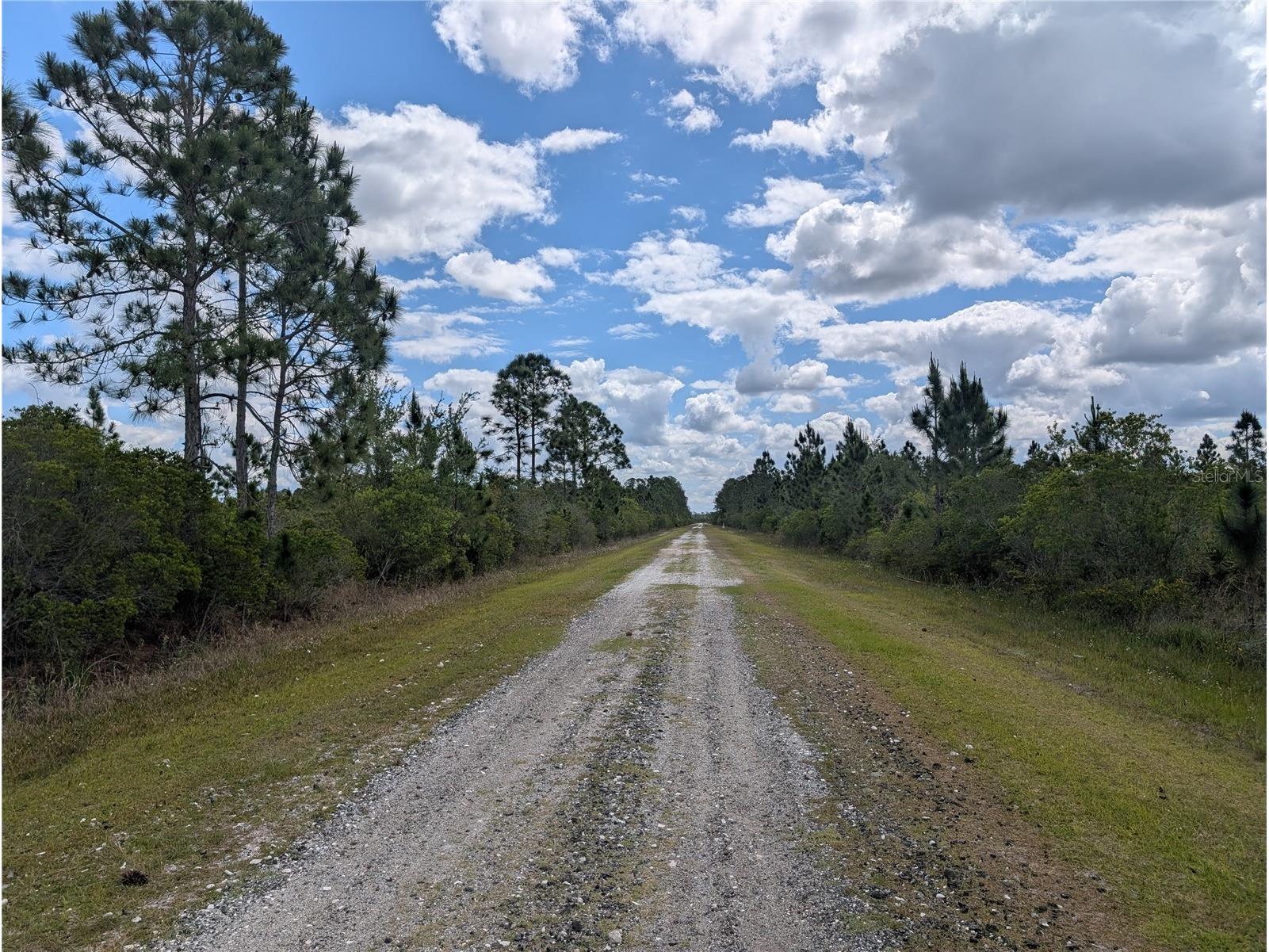 Althea Drive Indian Lake Estates FL 33855 - LAKE WALK-IN-WATER P4938538 image8