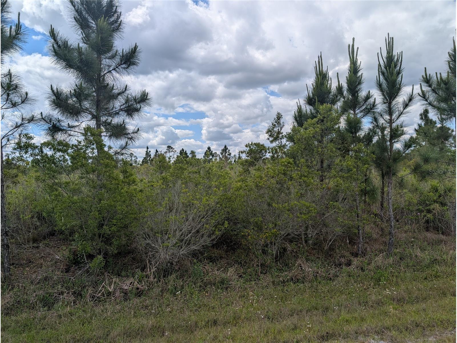 Althea Drive Indian Lake Estates FL 33855 - LAKE WALK-IN-WATER P4938538 image9