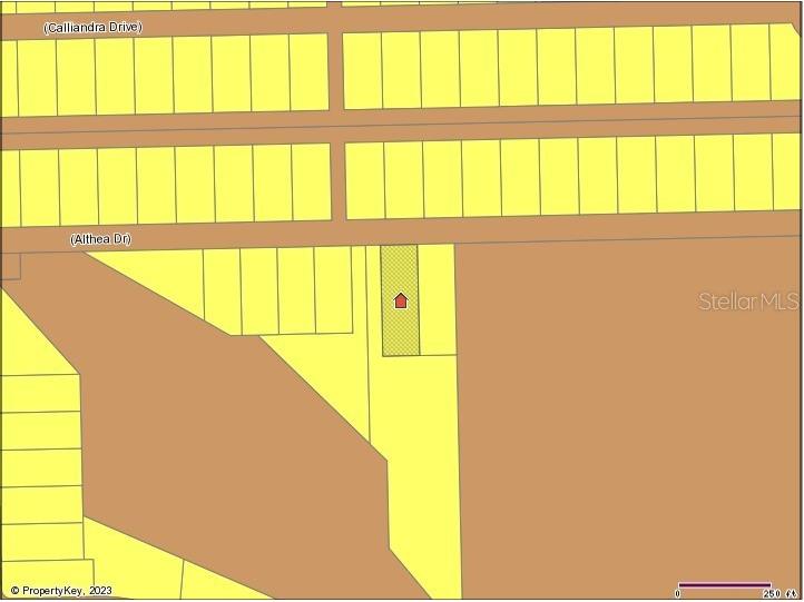 Althea Drive Lake Wales FL 33898 S5086037 image1