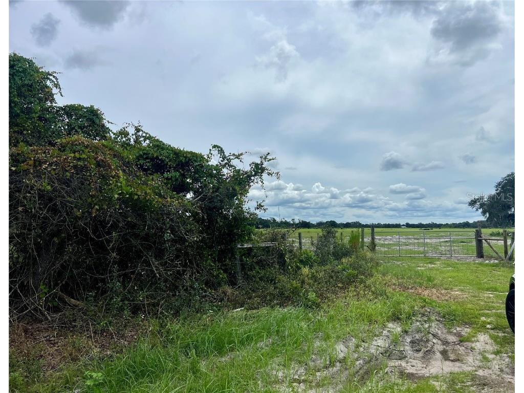 Alturas Babson Park Cut-Off Bartow FL 33830 S5134258 image11