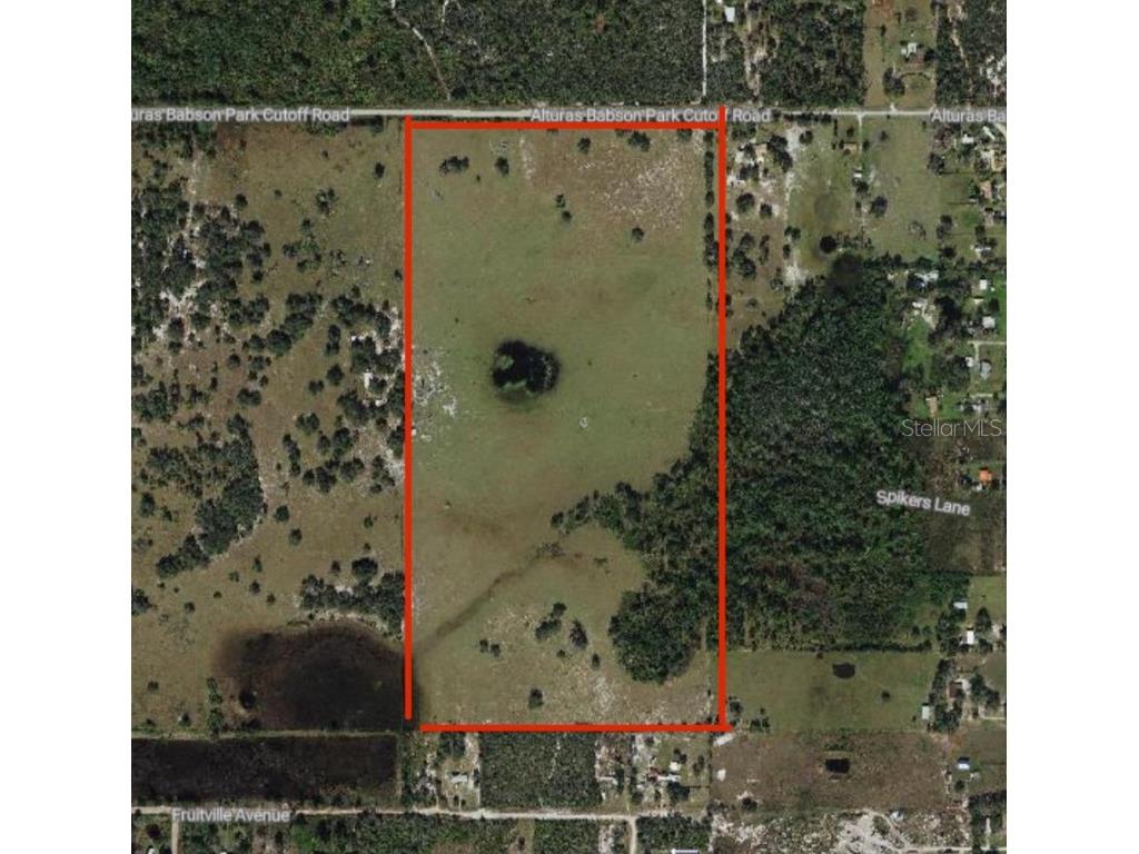 Alturas Babson Park Cut-Off Bartow FL 33830 S5134258 image13