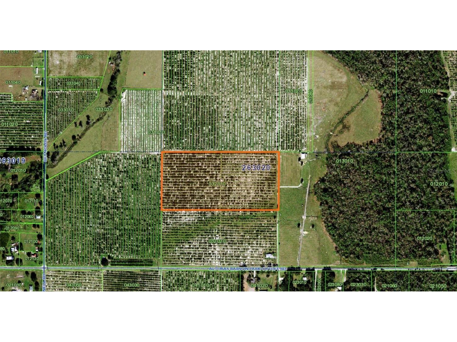 Alturas Babson Park Cutoff Road, Bartow, FL, 33830 MLS O6132068