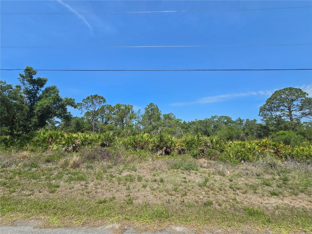 Alva Street North Port FL 34291 A4653714 image3