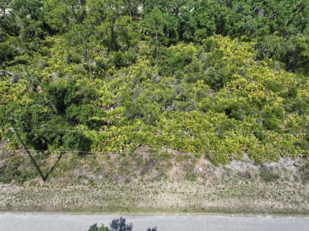 Alva Street North Port FL 34291 A4653714 image4