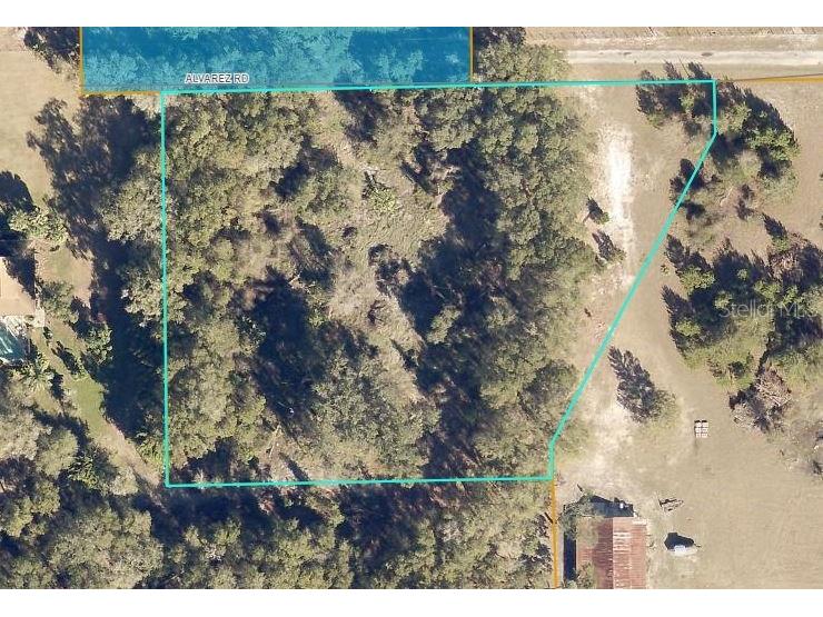 Alvarez Road De Leon Springs FL 32130 V4923947 image1
