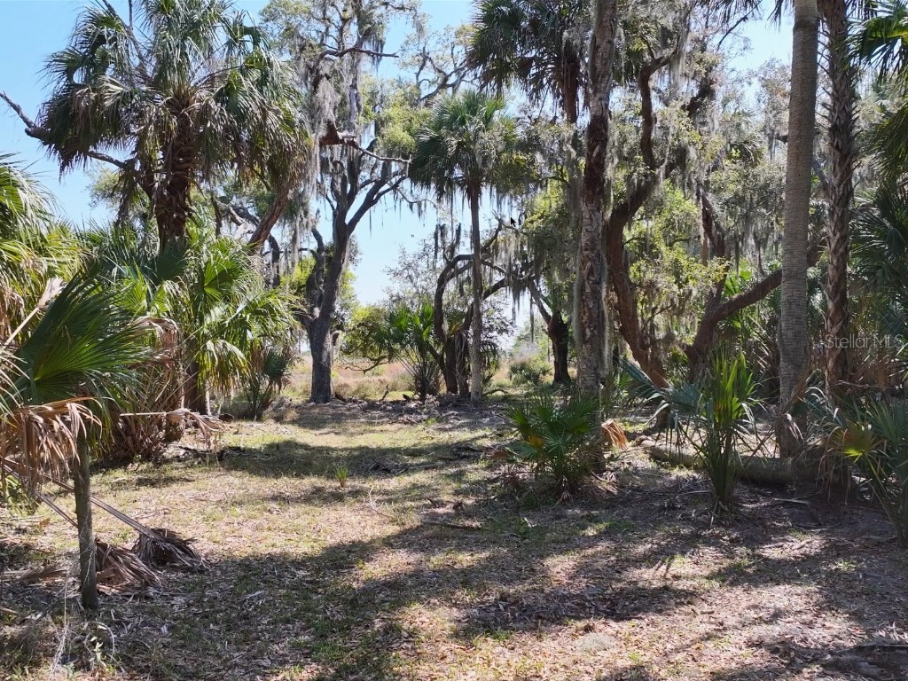 Amber Bell Trail Lake Placid FL 33852 C7508441 image11