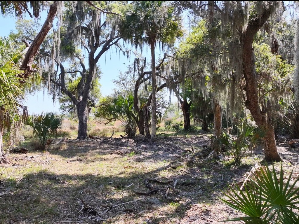 Amber Bell Trail Lake Placid FL 33852 C7508441 image12