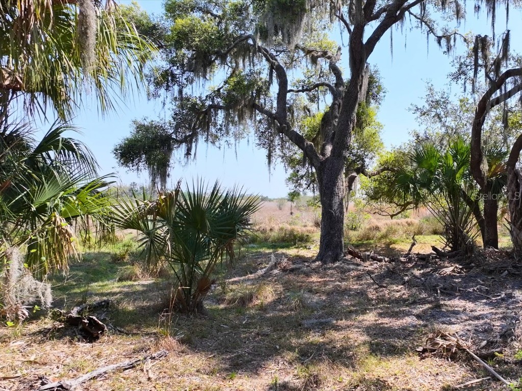 Amber Bell Trail Lake Placid FL 33852 C7508441 image13