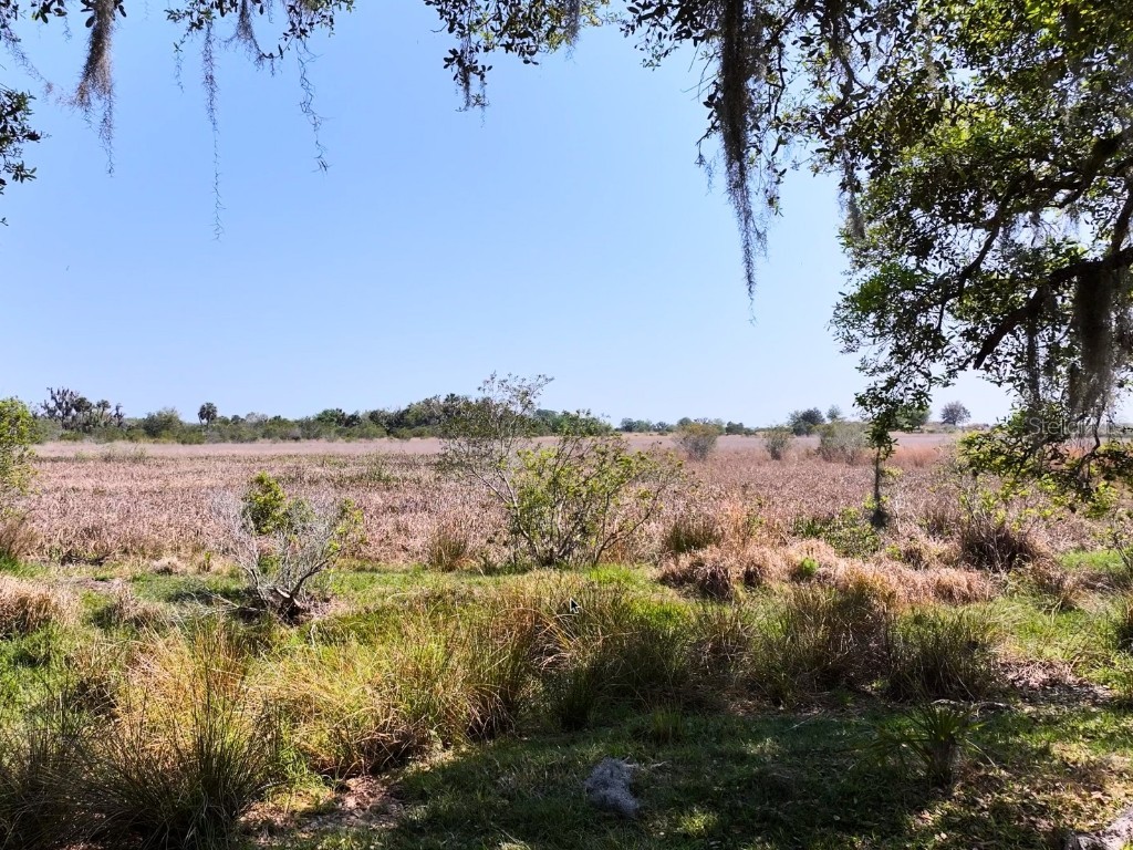 Amber Bell Trail Lake Placid FL 33852 C7508441 image14