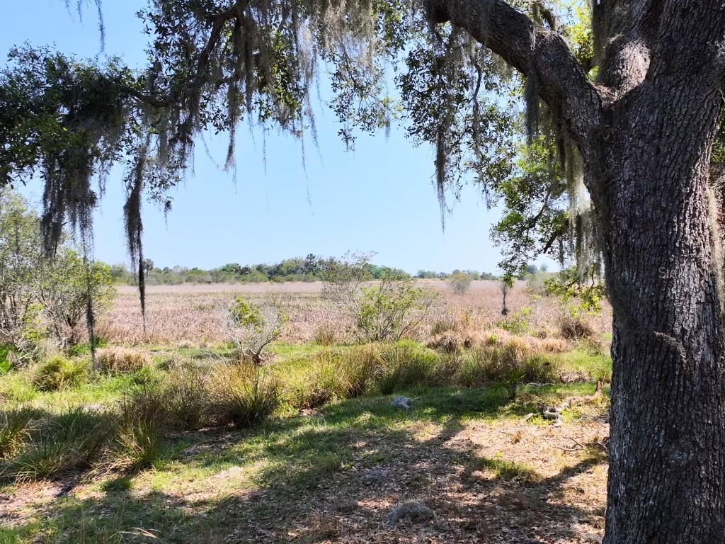 Amber Bell Trail Lake Placid FL 33852 C7508441 image15