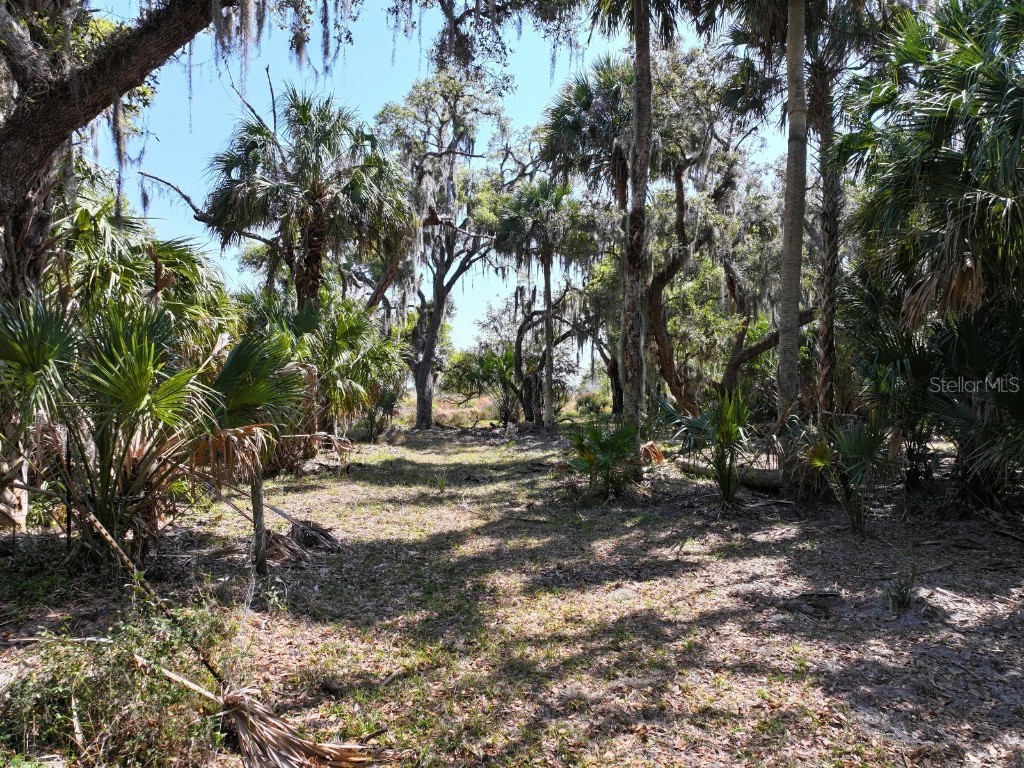 Amber Bell Trail Lake Placid FL 33852 C7508441 image2