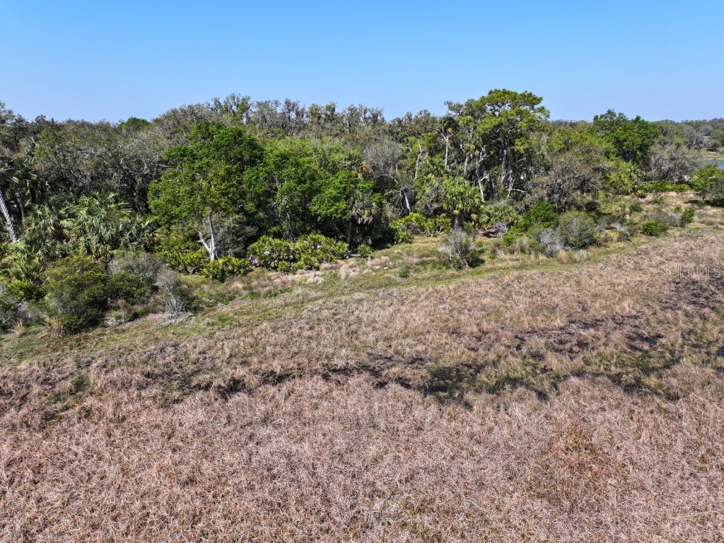Amber Bell Trail Lake Placid FL 33852 C7508441 image3