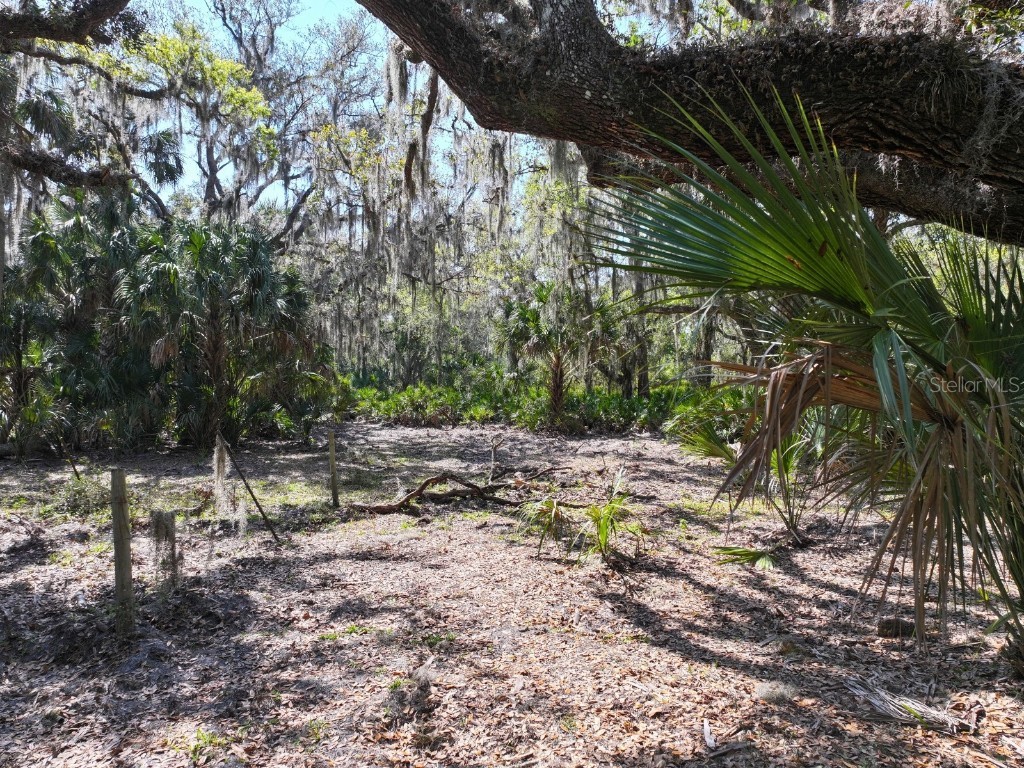 Amber Bell Trail Lake Placid FL 33852 C7508441 image4