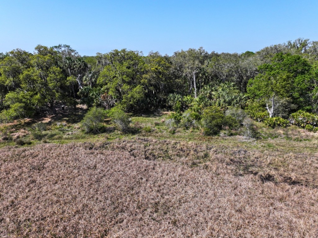 Amber Bell Trail Lake Placid FL 33852 C7508441 image5