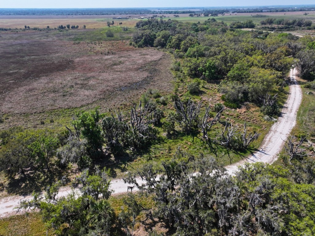 Amber Bell Trail Lake Placid FL 33852 C7508441 image7