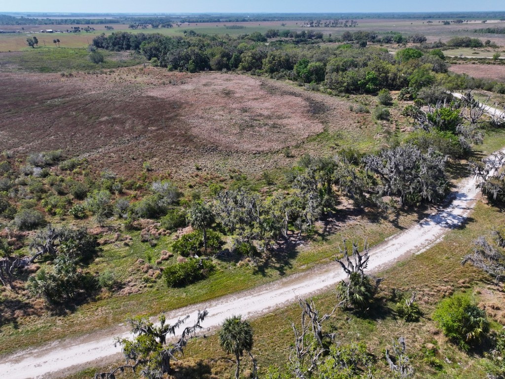 Amber Bell Trail Lake Placid FL 33852 C7508441 image8