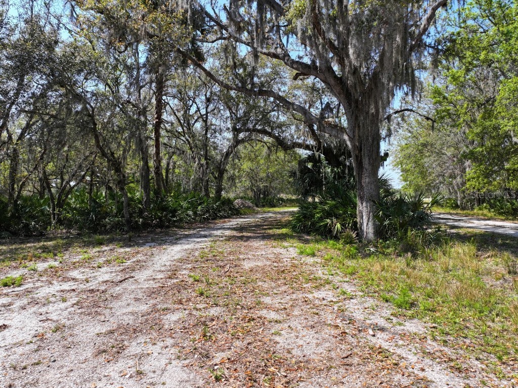 Amber Bell Trail Lake Placid FL 33852 C7508441 image9