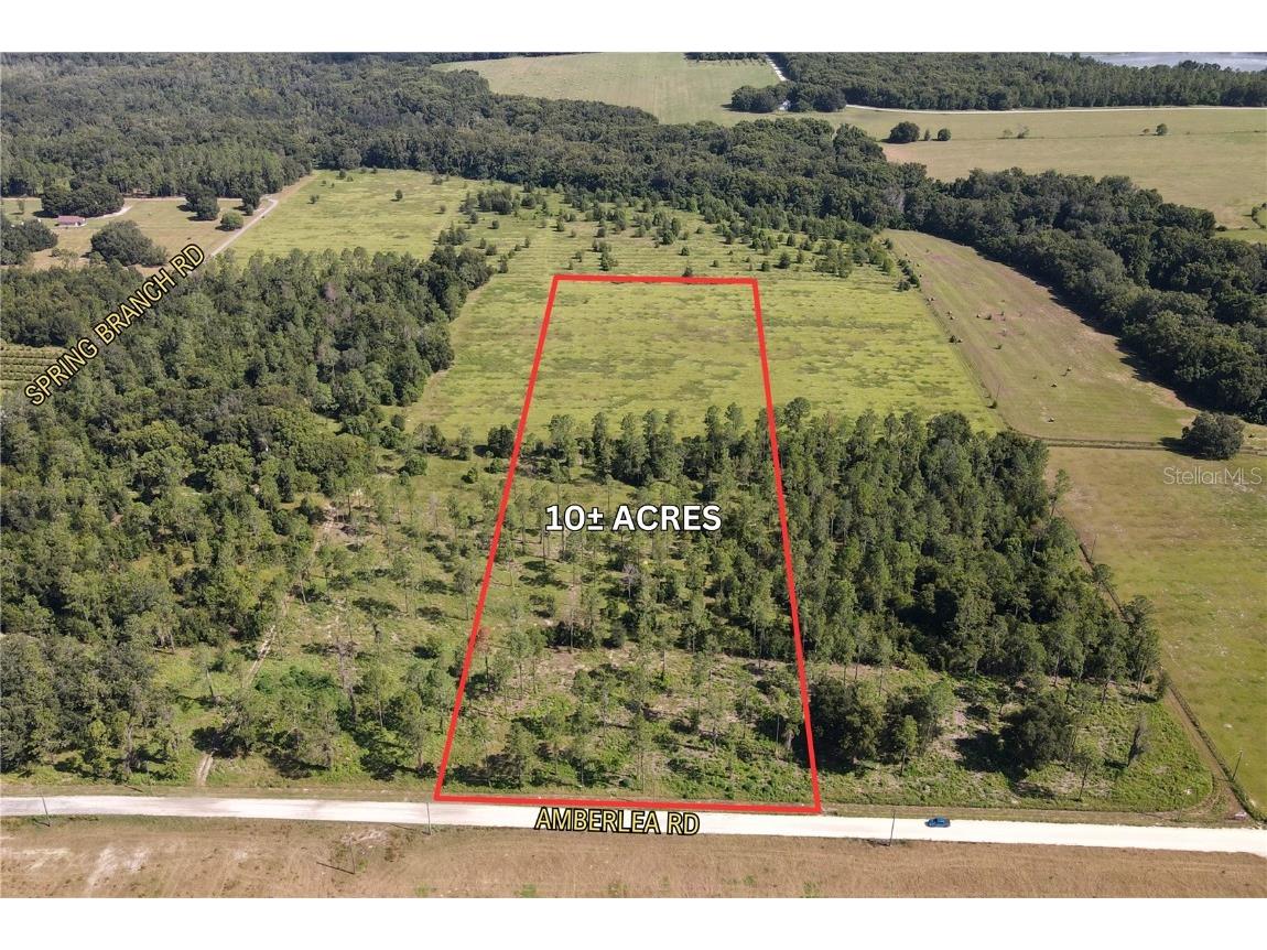 Amberlea Road Dade City FL 33523 T3552689 image1