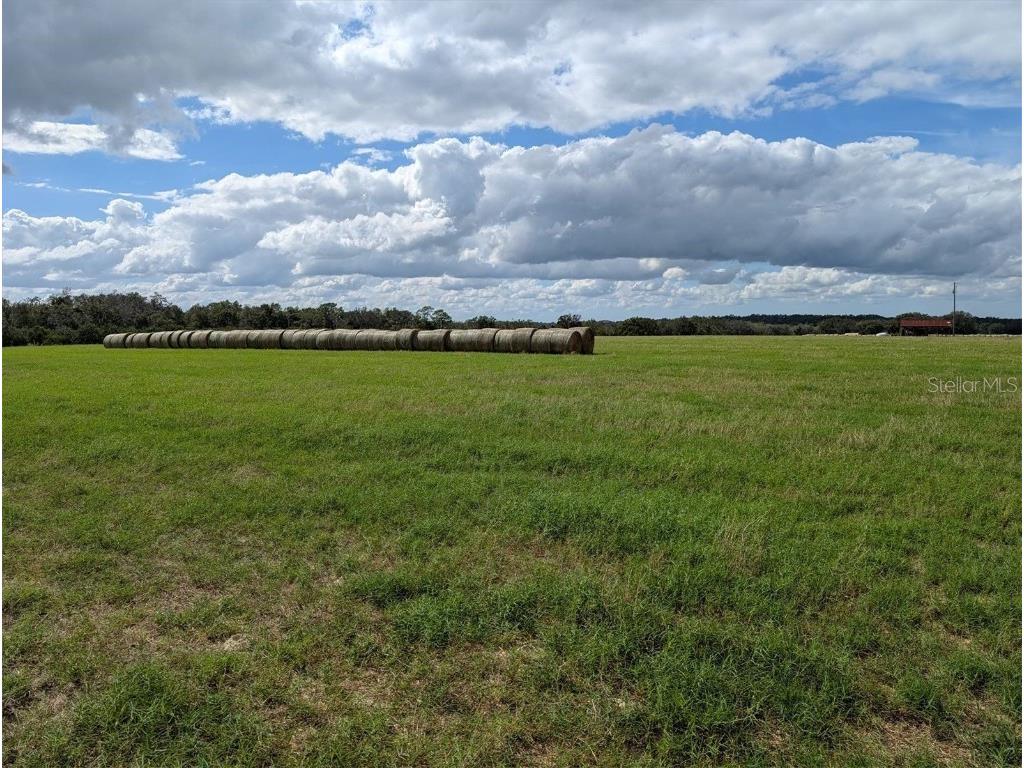 Amberlea Road Dade City FL 33523 TB8324273 image1