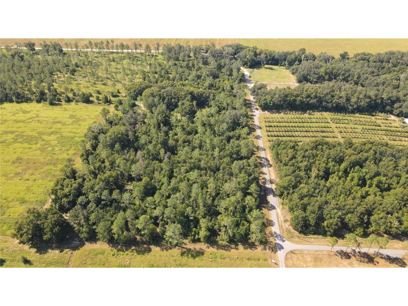 Amberlea Road Dade City FL 33523 TB8347558 image1