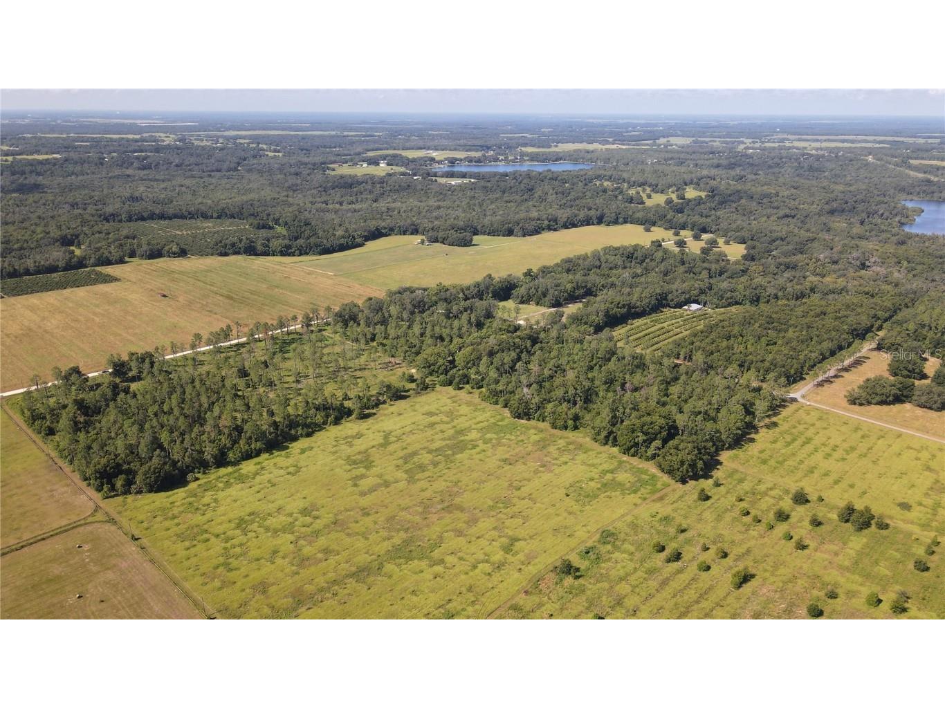 Amberlea Road Dade City FL 33523 TB8347558 image2