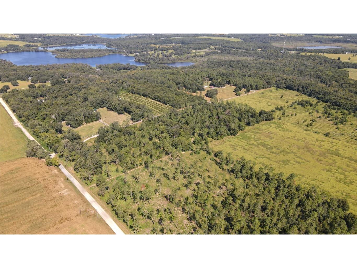 Amberlea Road Dade City FL 33523 TB8347558 image4