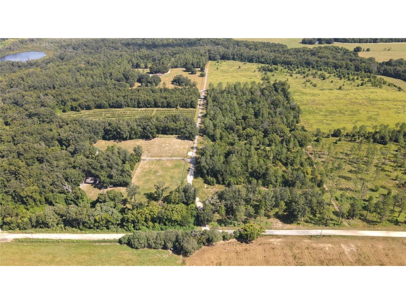 Amberlea Road Dade City FL 33523 TB8347558 image5