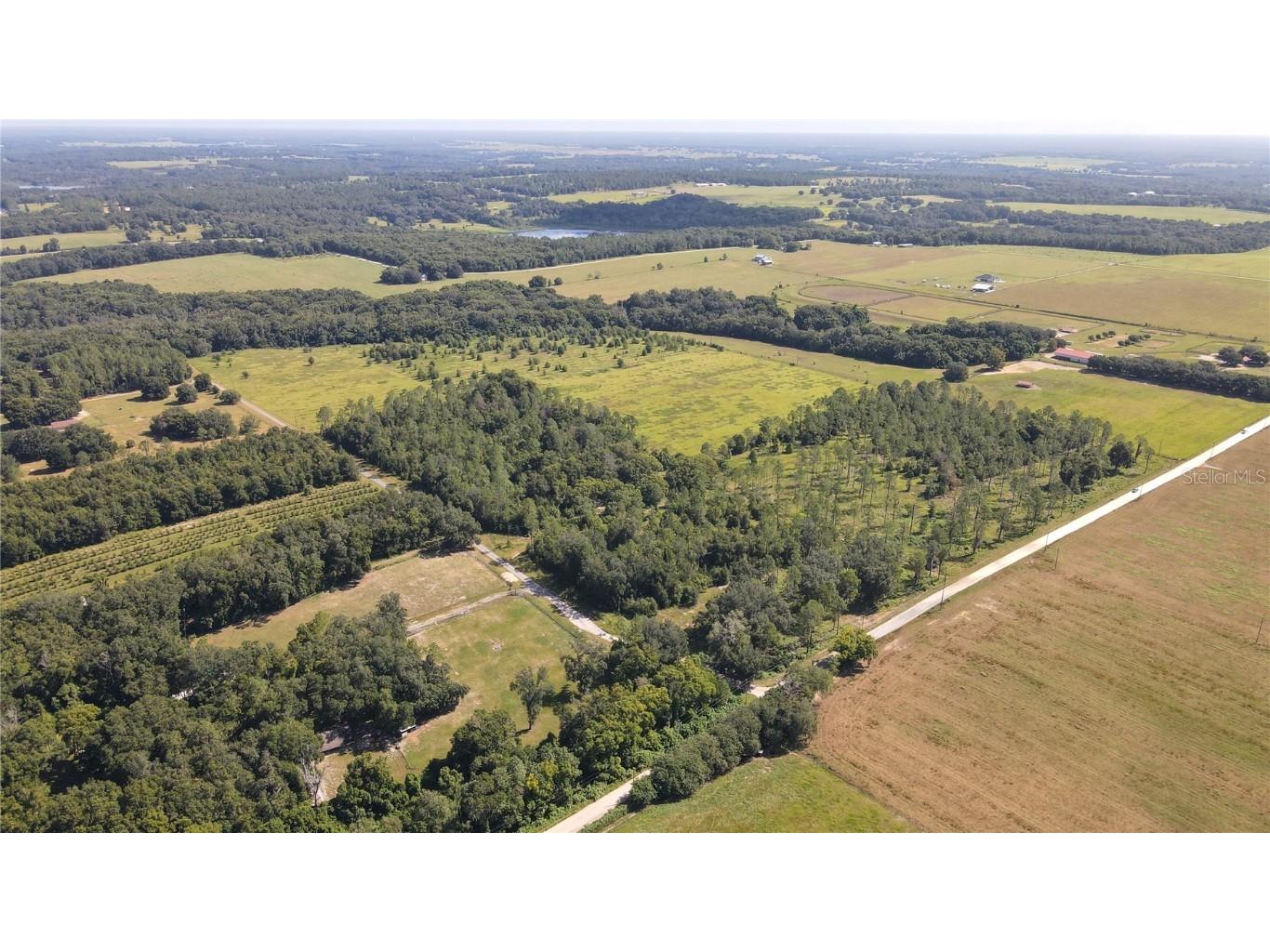 Amberlea Road Dade City FL 33523 TB8347558 image6