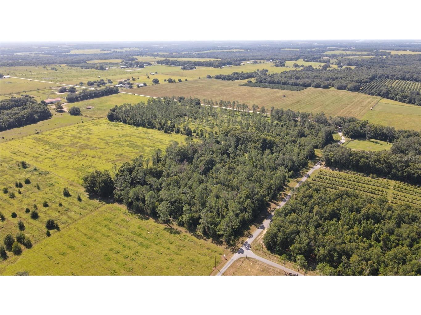 Amberlea Road Dade City FL 33523 TB8347571 image1