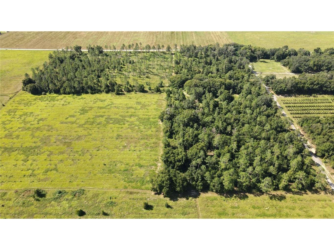 Amberlea Road Dade City FL 33523 TB8347571 image2