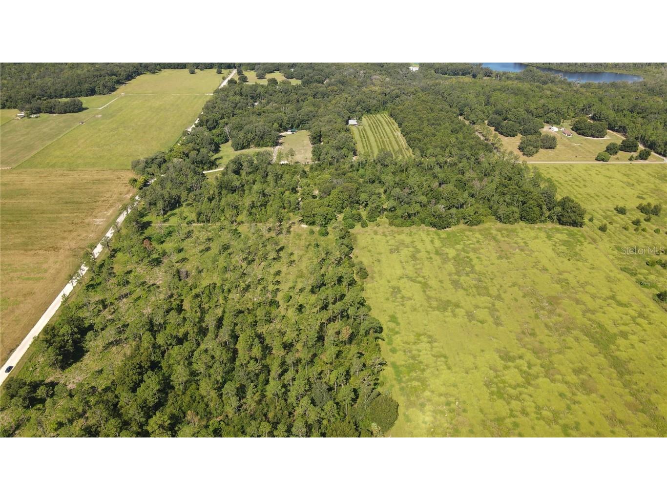 Amberlea Road Dade City FL 33523 TB8347571 image4