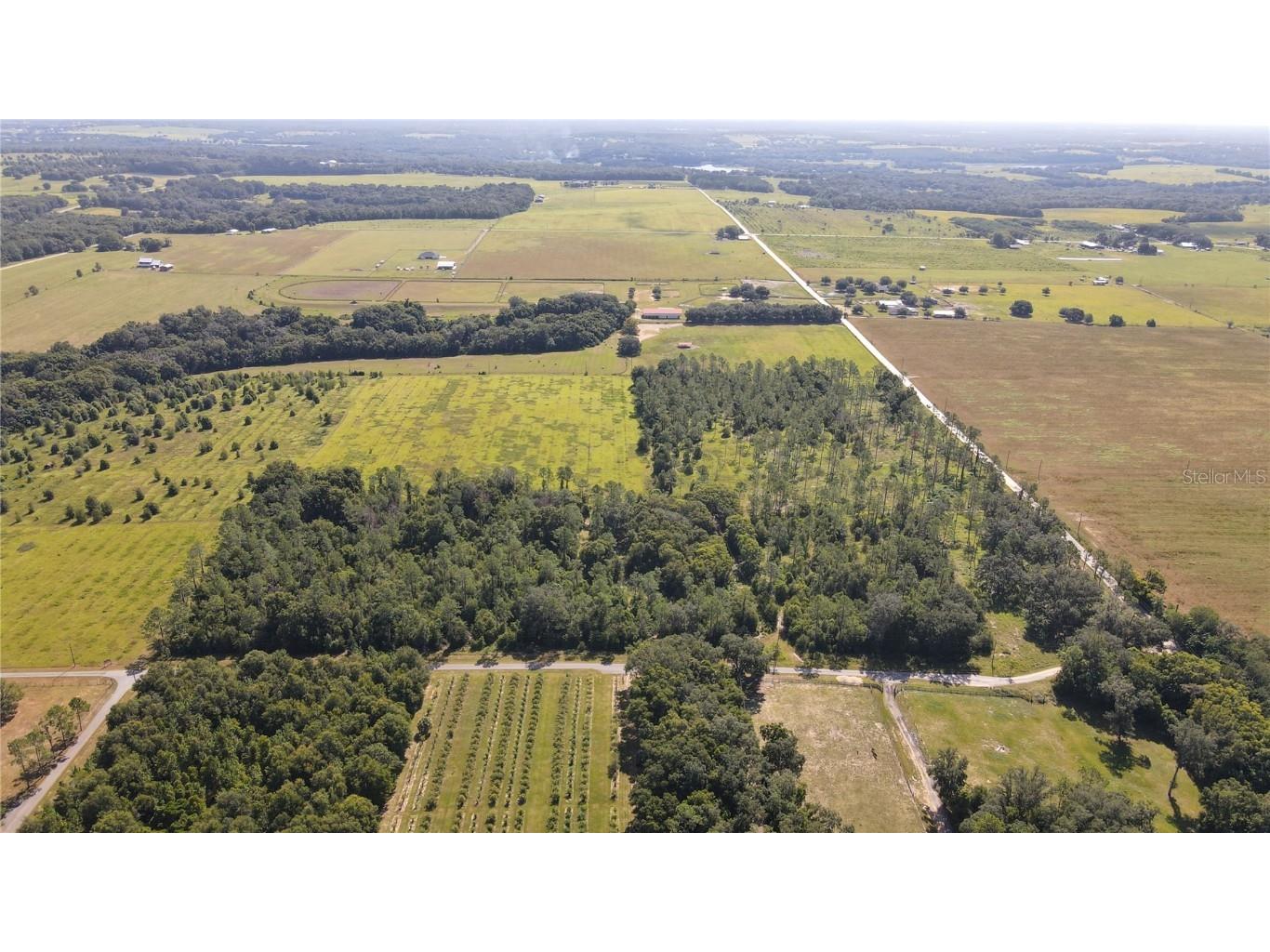 Amberlea Road Dade City FL 33523 TB8347571 image8