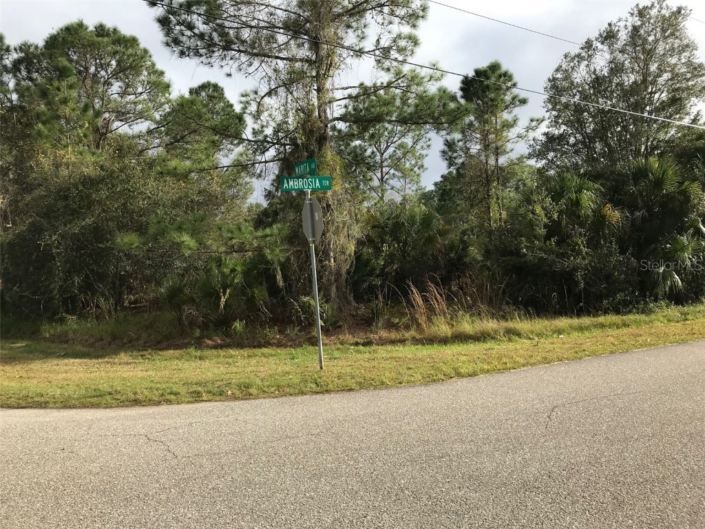 Ambrosia Terrace North Port FL 34286 C7452925 image1