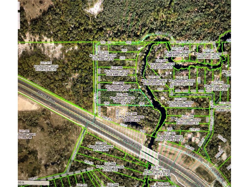 Amelia Lane Dade City FL 33523 - WITHLACOOCHEE W7878996 image4