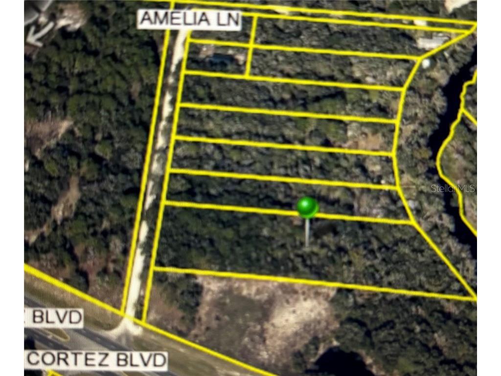 Amelia Lane Dade City FL 33523 - WITHLACOOCHEE W7878996 image6