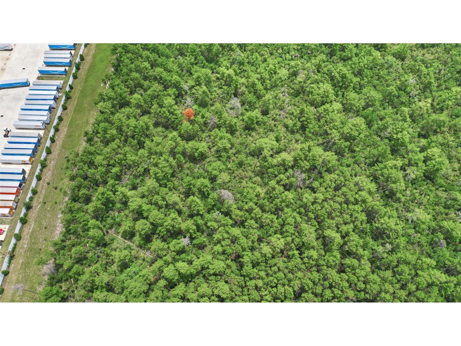 Amelia (Paper) Avenue Deltona FL 32725 O6415992 image24