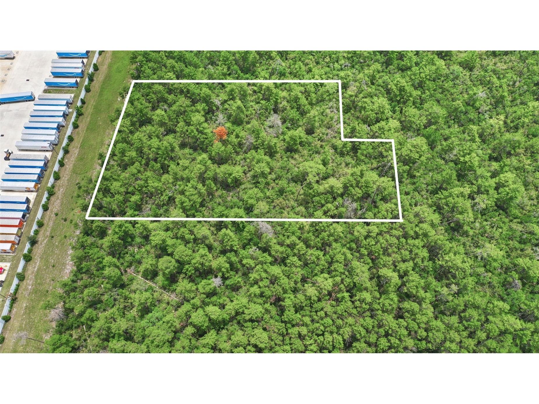 Amelia (Paper) Avenue Deltona FL 32725 O6415992 image25