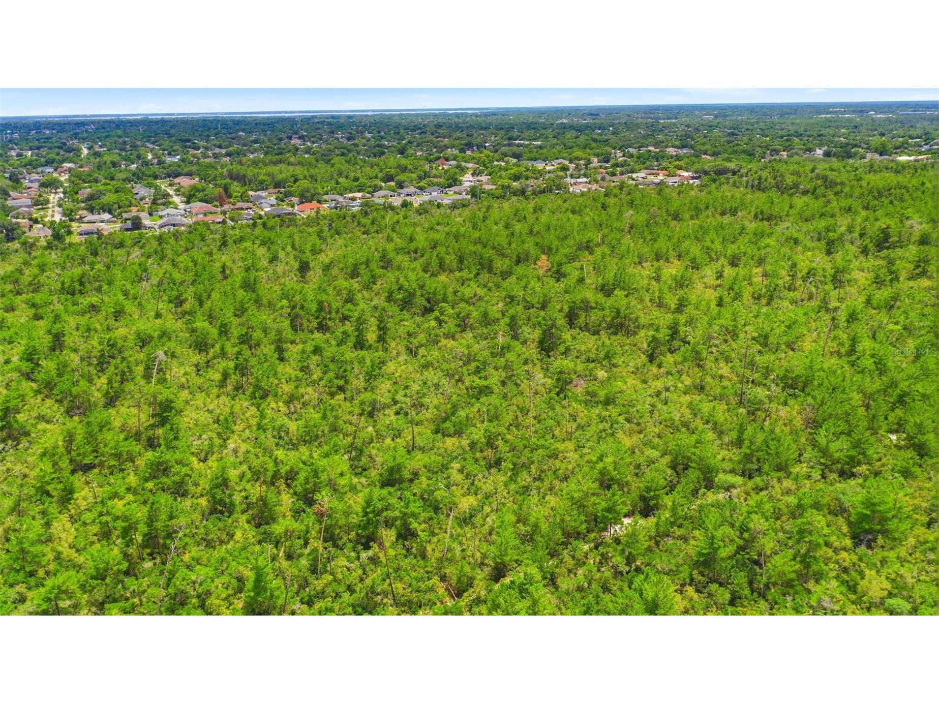 Amelia (Paper) Avenue Deltona FL 32725 O6415995 image10